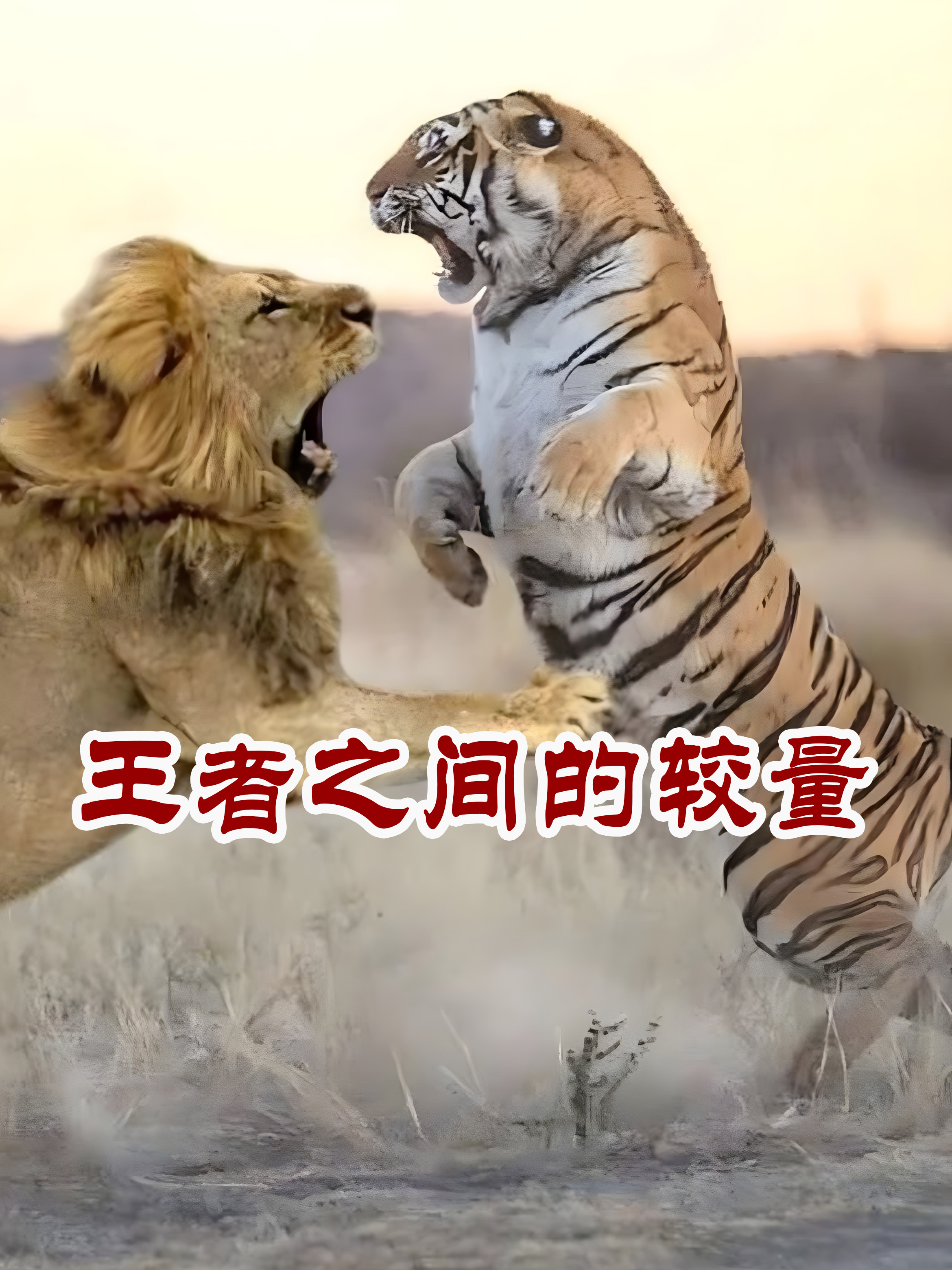 雄狮战胜对手，晋级德国杯四强