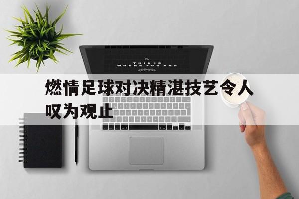 燃情足球对决精湛技艺令人叹为观止的简单介绍